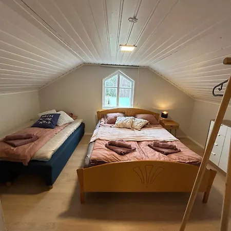 Kodikas Hirsimoekki - Cozy Log *